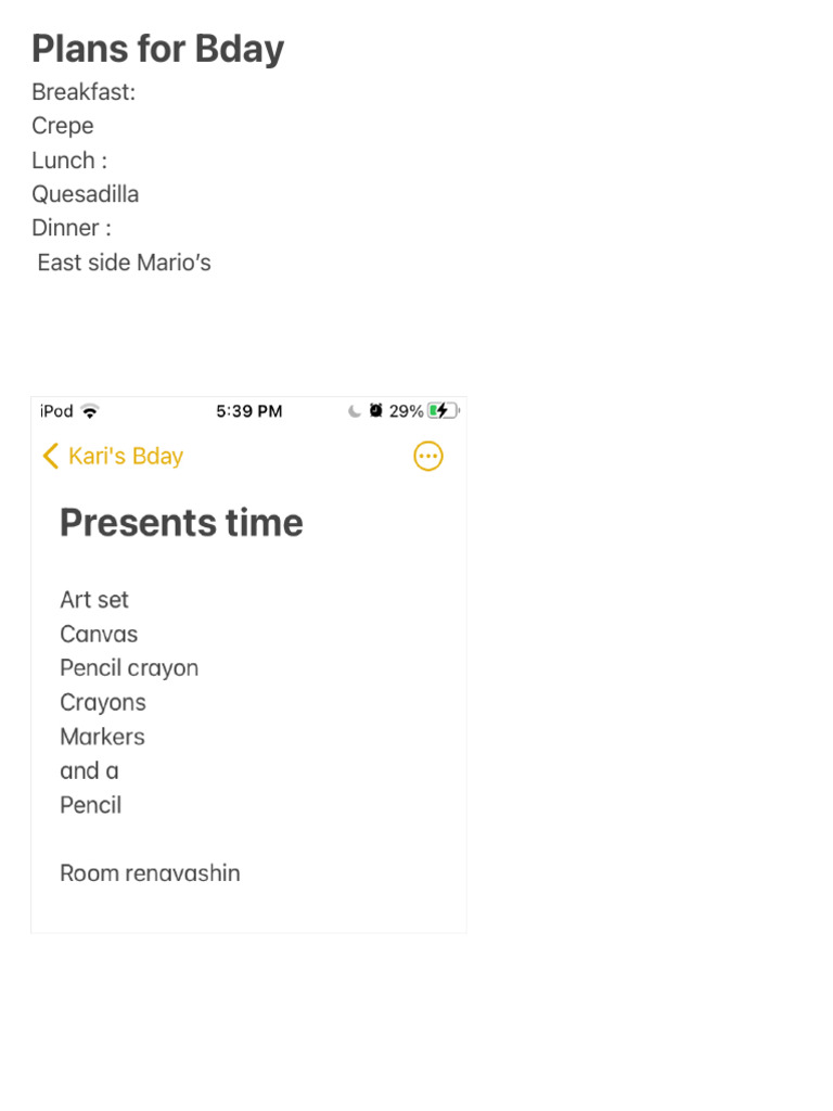 plans-for-bday-pdf
