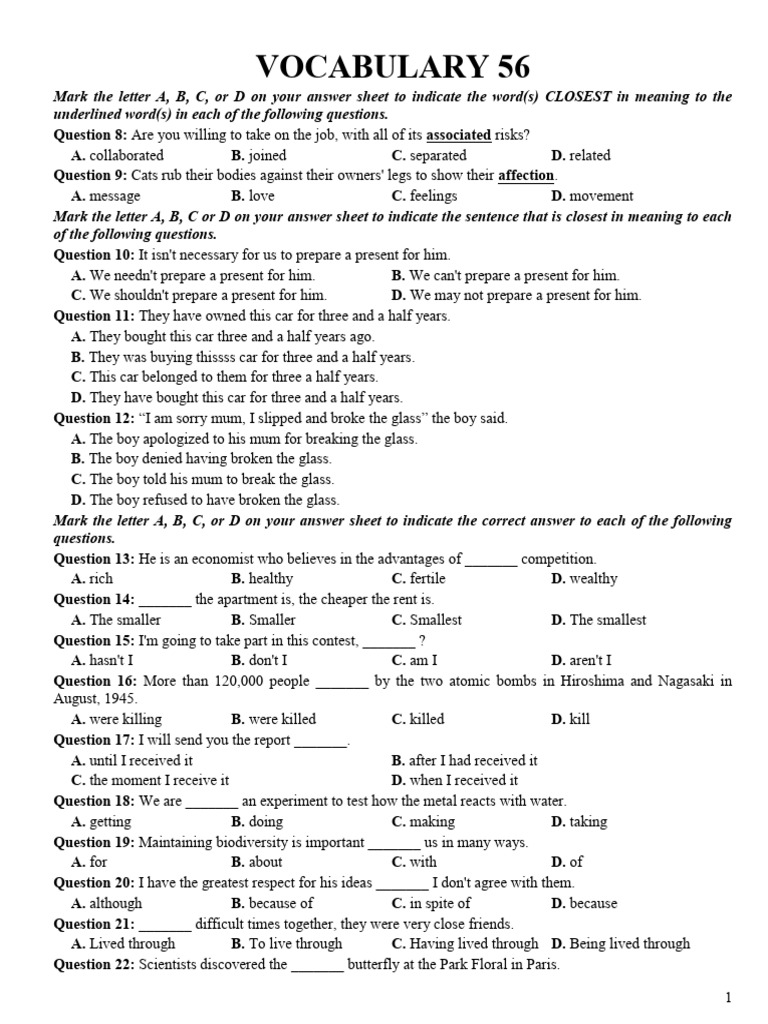 Vocabulary and Grammar Practice Test | PDF