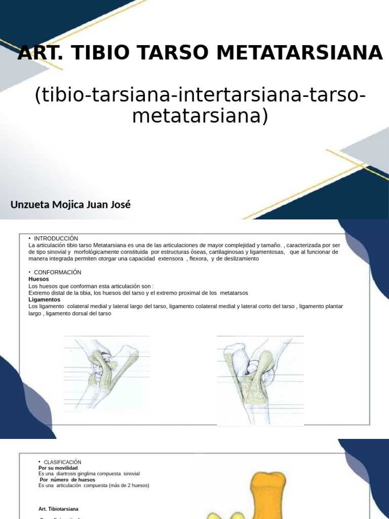 Art. Tibio Tarso Metatarsiana Unzueta | PDF | Articulación | Sistema ...