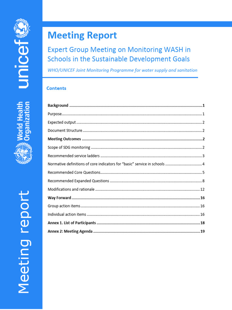 June 2016 WinS Expert Group Meeting Report - FINAL | PDF | Wash ...