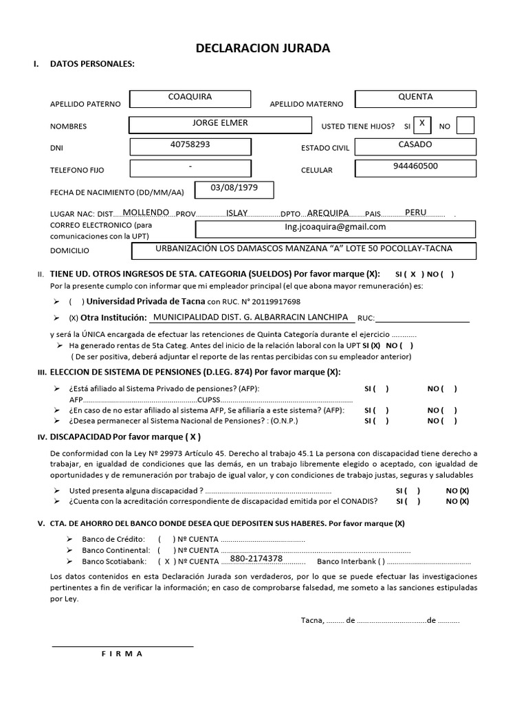 Declaracion Jurada 2025 Ultimo | PDF | Economía demográfica | Servicios ...