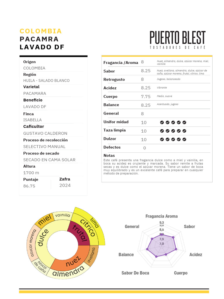 Café Pacamara Huila: Sabor y Calidad | PDF
