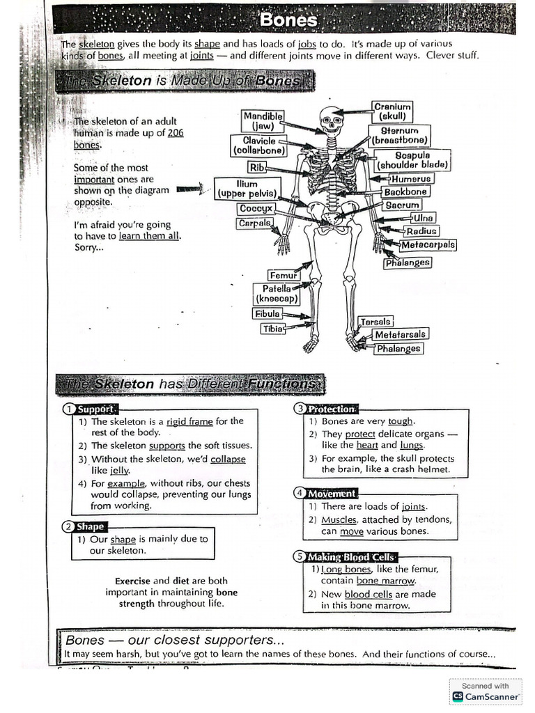 PE 1 MODULE 2 | PDF