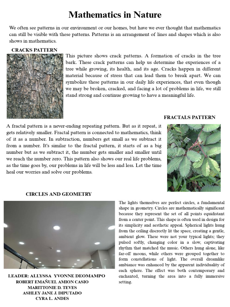 Mathematical Patterns in Nature | PDF | Pattern | Mathematics