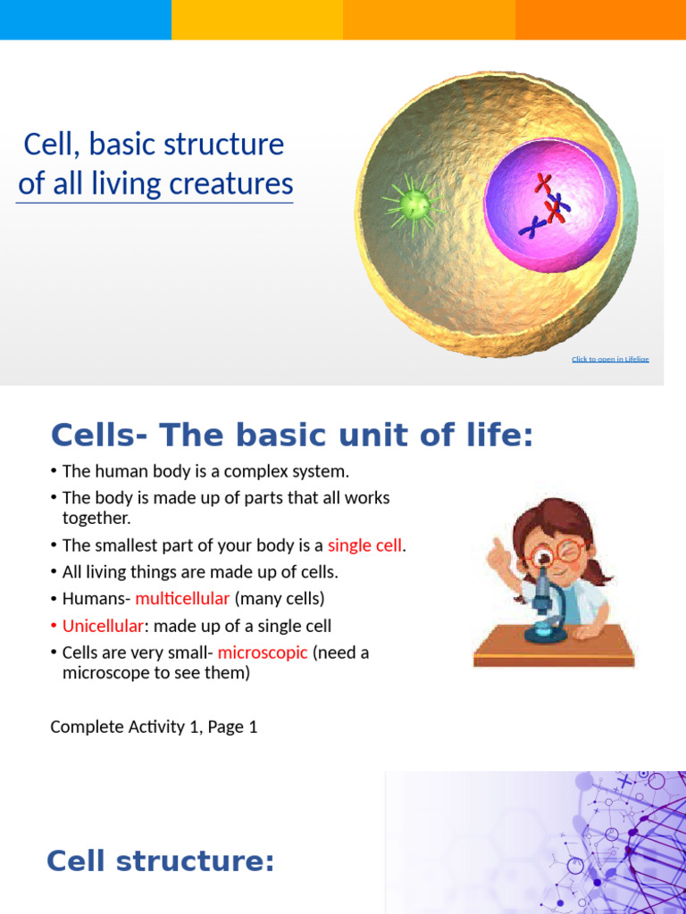 Understanding Cell Structure and Function | PDF | Cell (Biology) | Lung