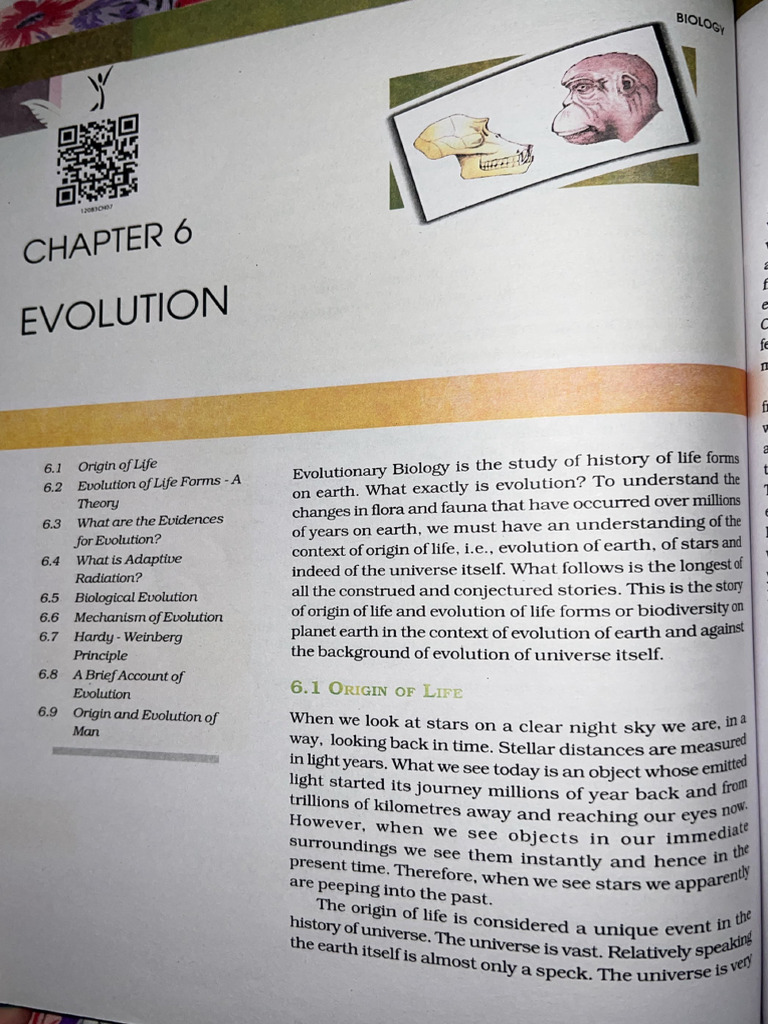 Evolution Ncert PDF | PDF