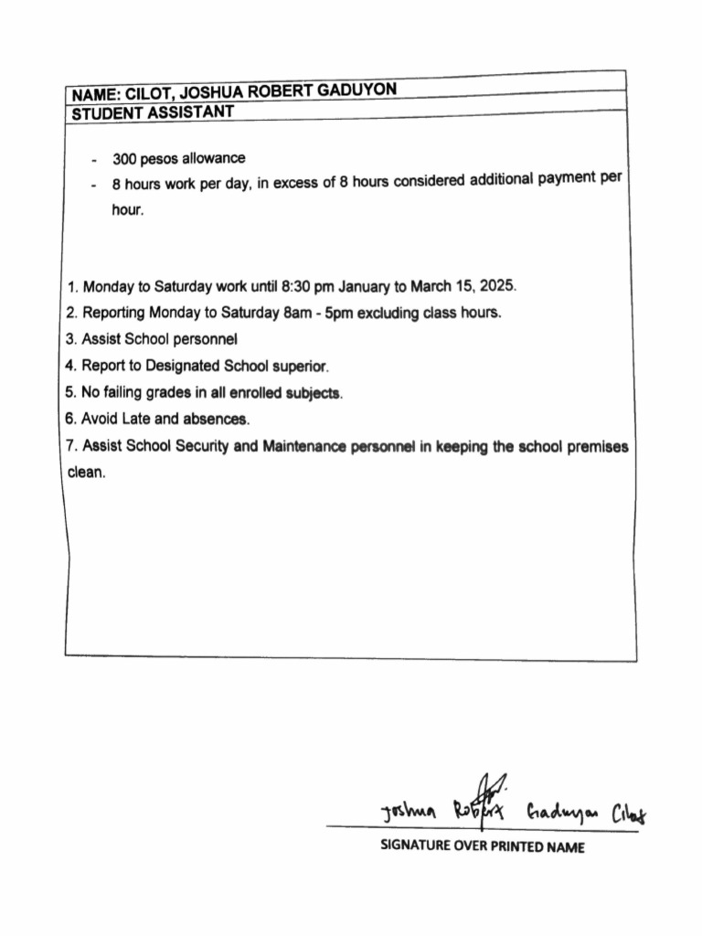 Student Assistant Job Guidelines | PDF