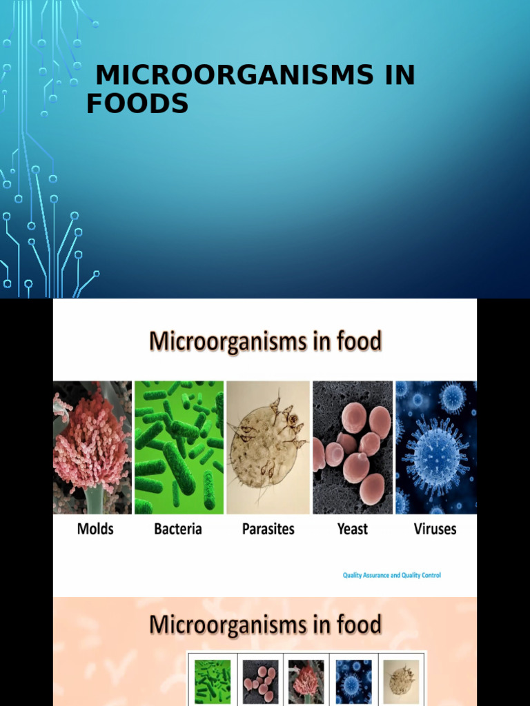 Lecture 2 Microorganism in Food | PDF