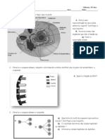Revisão Sobre Célula