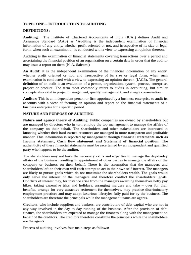 Introduction to Auditing Concepts | PDF | Audit | Internal Control