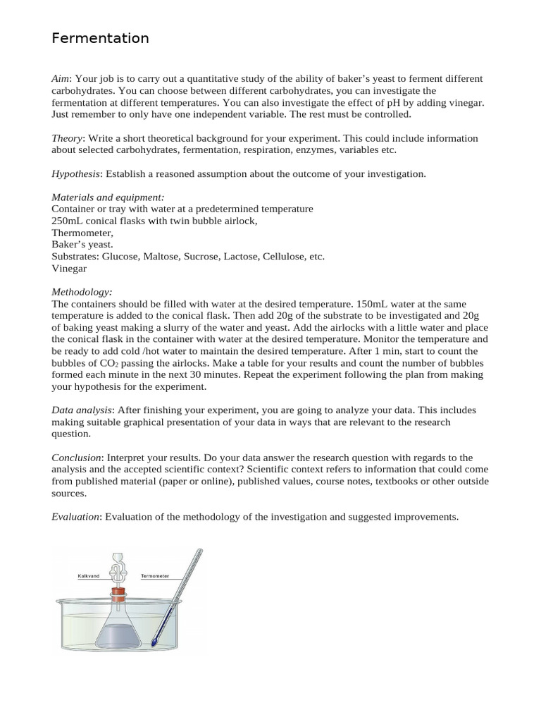 Yeast Fermentation Study Methods | PDF