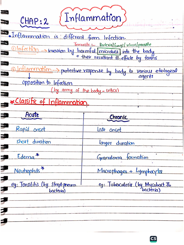 Inflammation Patho(Huma Khattak TMM) | PDF