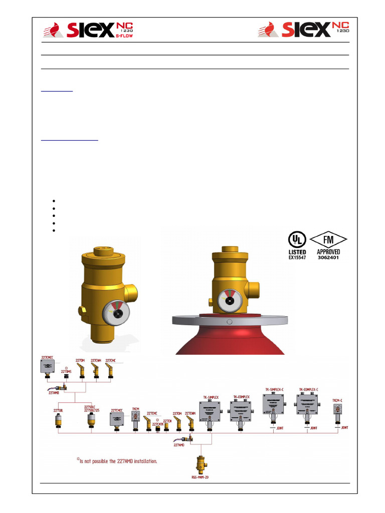 RGS-MAM-20 Container Valve Data Sheet | PDF | Valve | Piston