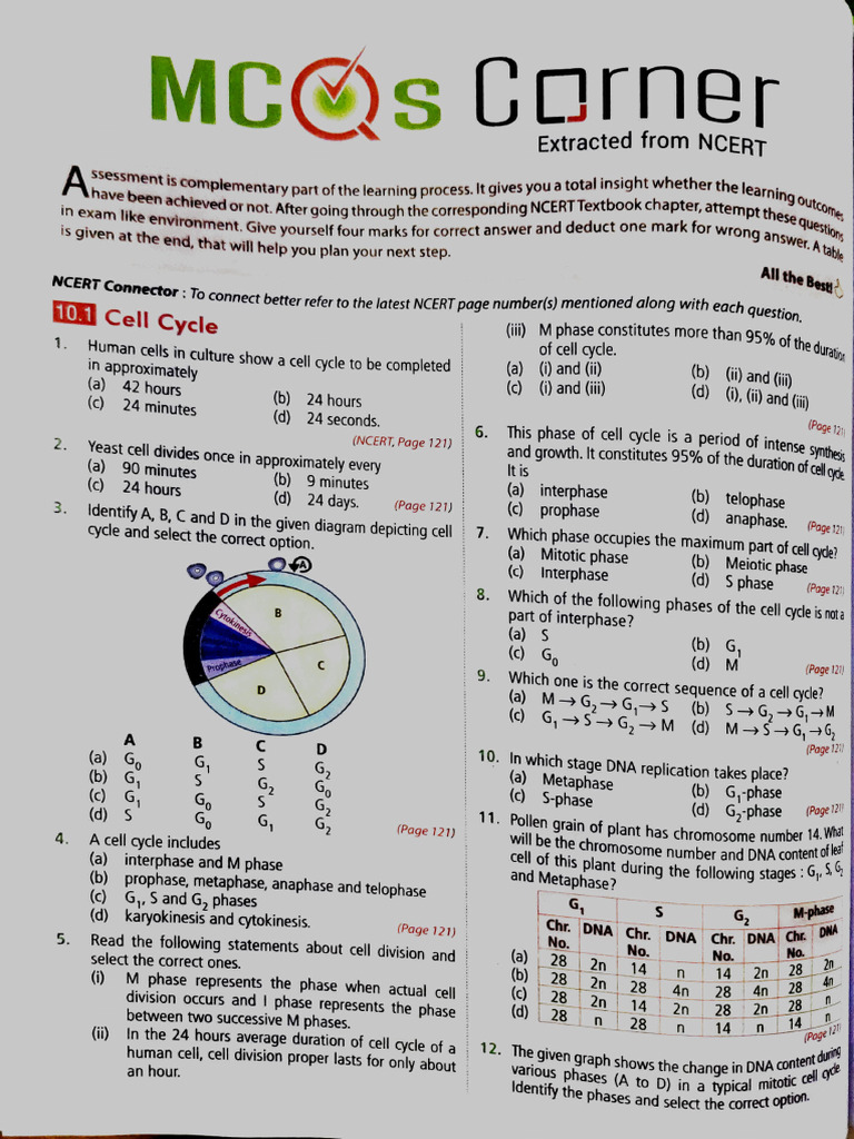 Cell Cycle 2025 | PDF