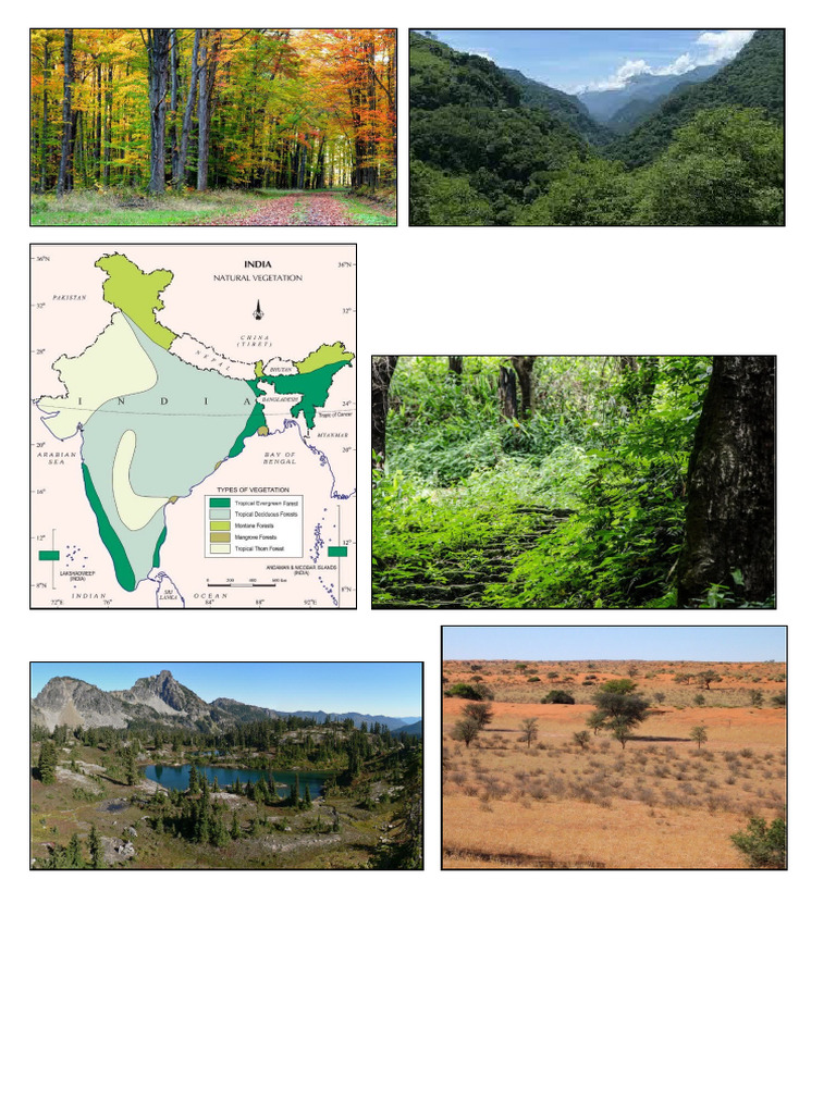 Interdisciplinary Project Imgs | PDF
