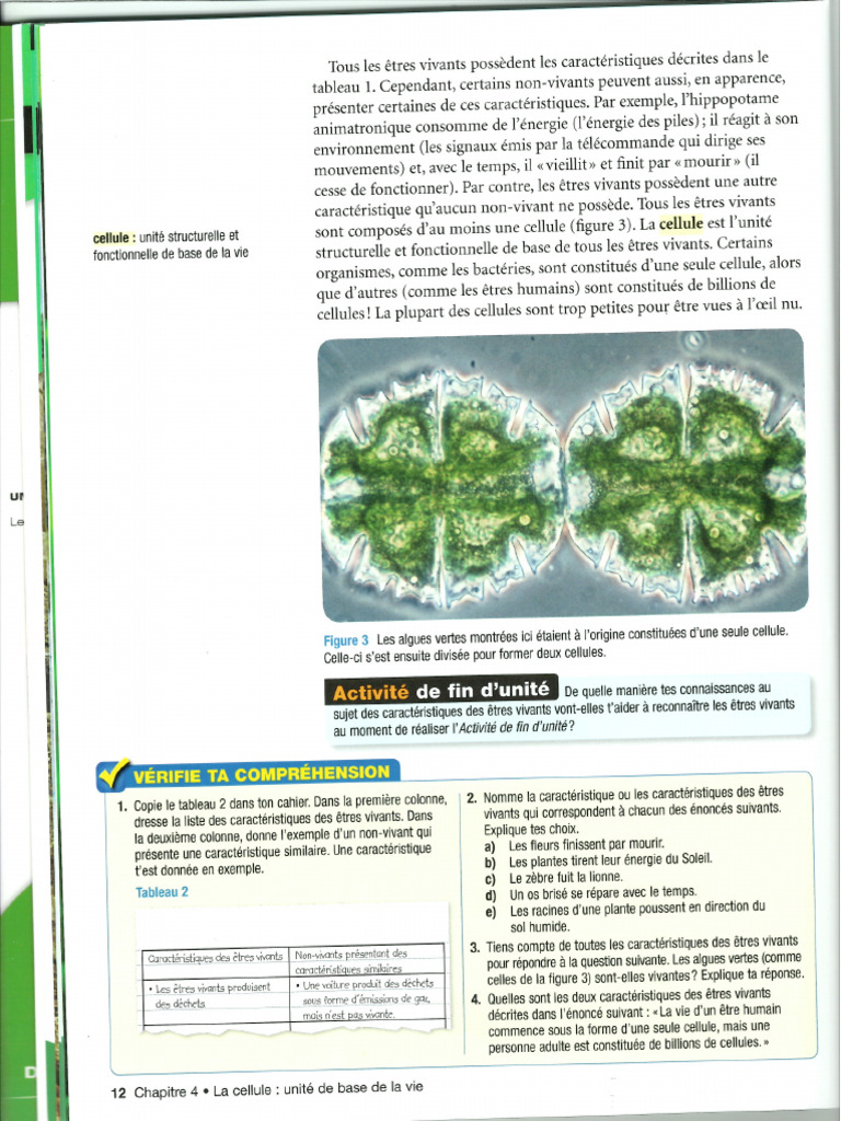 P 12 | PDF