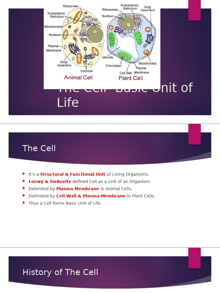 The Cell - Basic Unit of Life | PDF | Meiosis | Mitosis