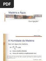 Madeira e Agua