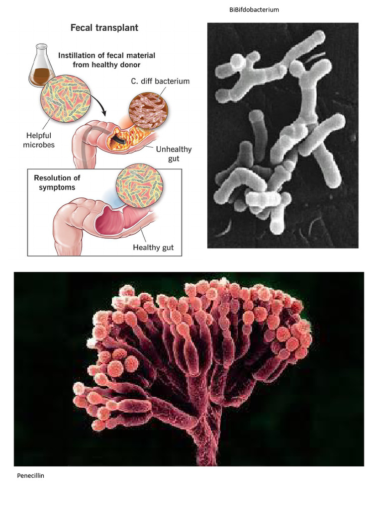 Bio Project | PDF