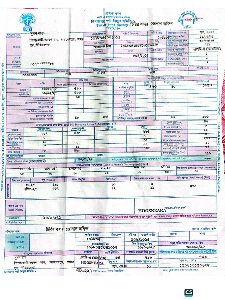 Electric Bill | PDF