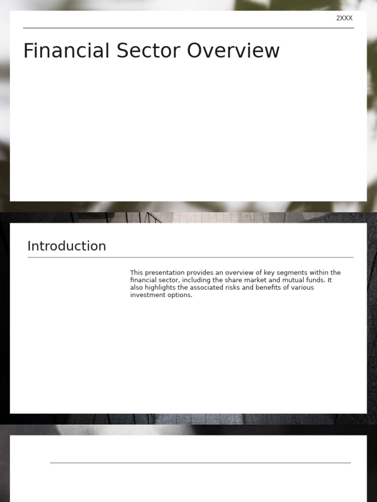Financial Sector Investment Overview | PDF | Investing | Financial Risk