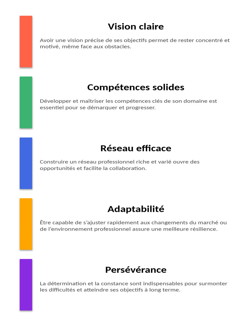 Infographie Succes Professionnel | PDF