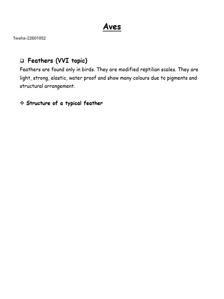 Structure and Types of Bird Feathers | PDF | Beak | Lift (Force)
