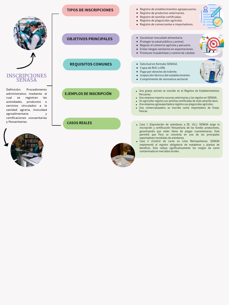 Gráfico Esquema de Proyecto Moderno Colorido | PDF | Seguridad ...