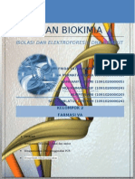 Biokim-Dna Rambut Prin