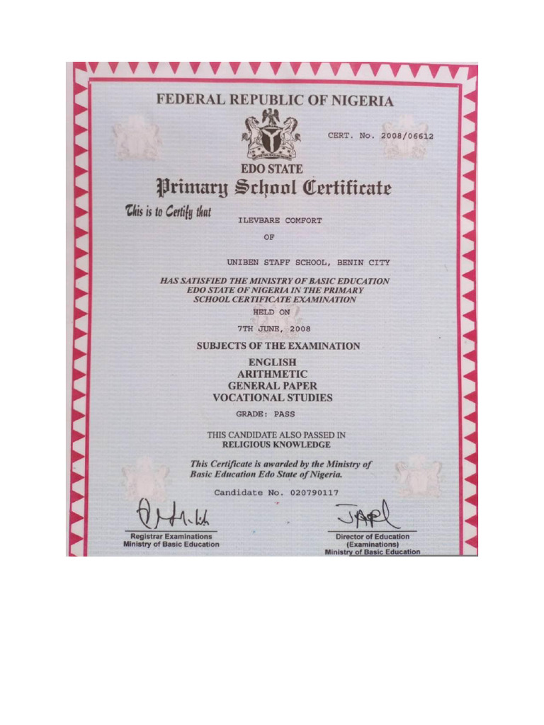 Primary School Cert | PDF
