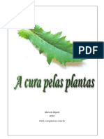 34290461 Livro a Cura Pelas Plantas