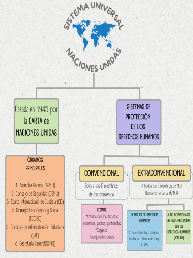 Estructura de la ONU y Derechos Humanos | PDF | Naciones Unidas ...