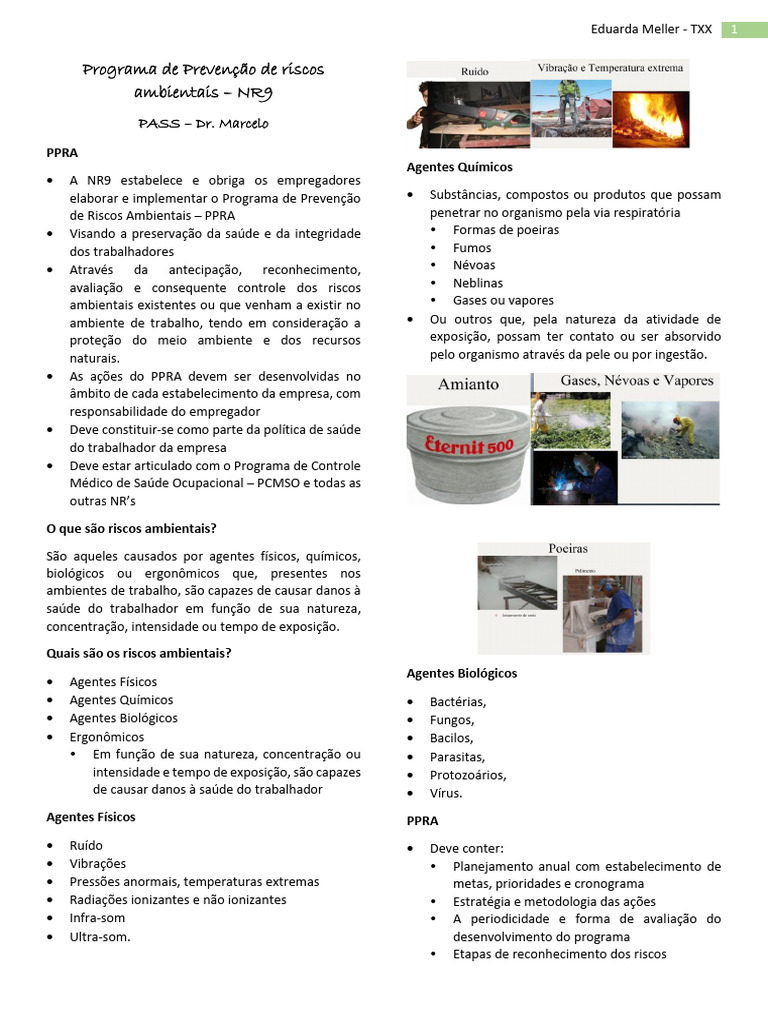 PPRA: Prevenção de Riscos Ambientais | PDF | Ambiente natural ...