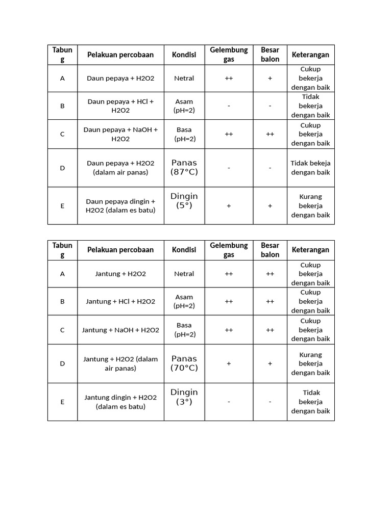 Efektivitas H2O2 pada Daun dan Jantung | PDF