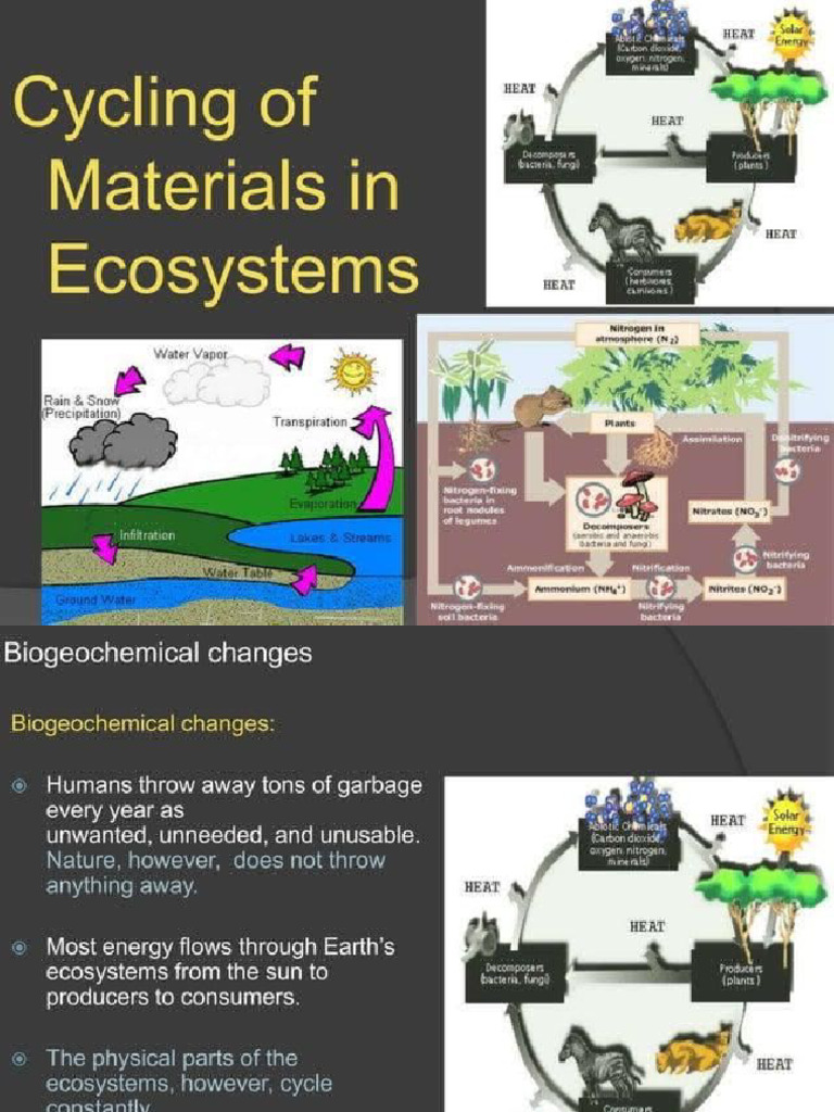 Science - Cycle of Living Things | PDF