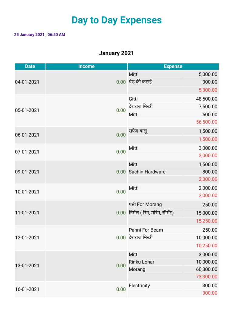 January 2021 Expense Report | PDF