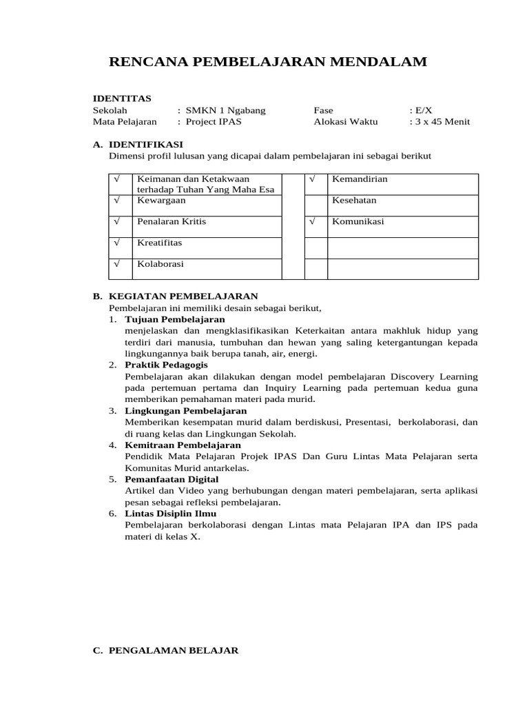 Format RPM | PDF