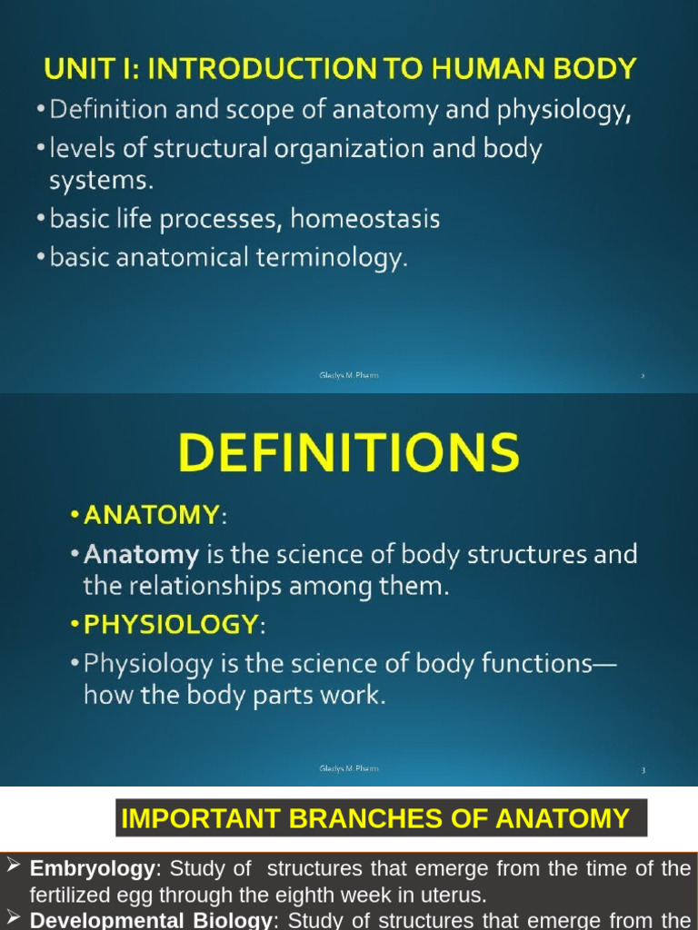 Unit 1 Definition, Scope Level of STR Org. | PDF