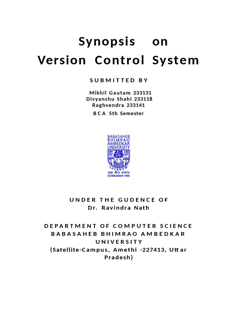 Custom Version Control System Overview | PDF | Version Control | Databases