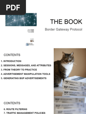 BGP: From Theory to Practice Guide | PDF