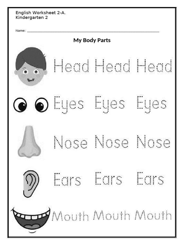English Worksheet 6 My Body Parts | PDF
