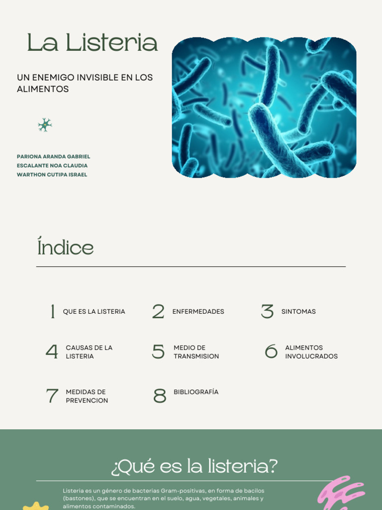 listeria-riesgos-y-prevenci-n-alimentaria-pdf-alimentos-queso