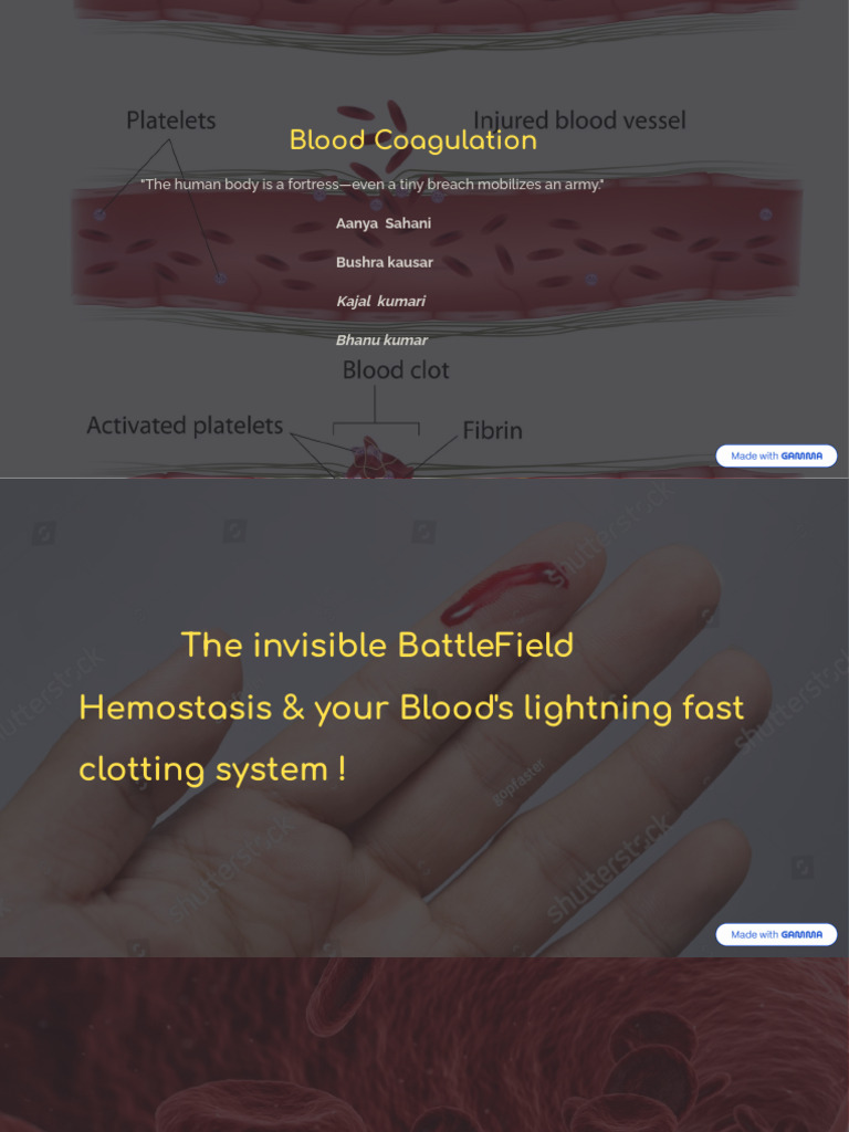 Blood Coagulation and Hemostasis Explained | PDF