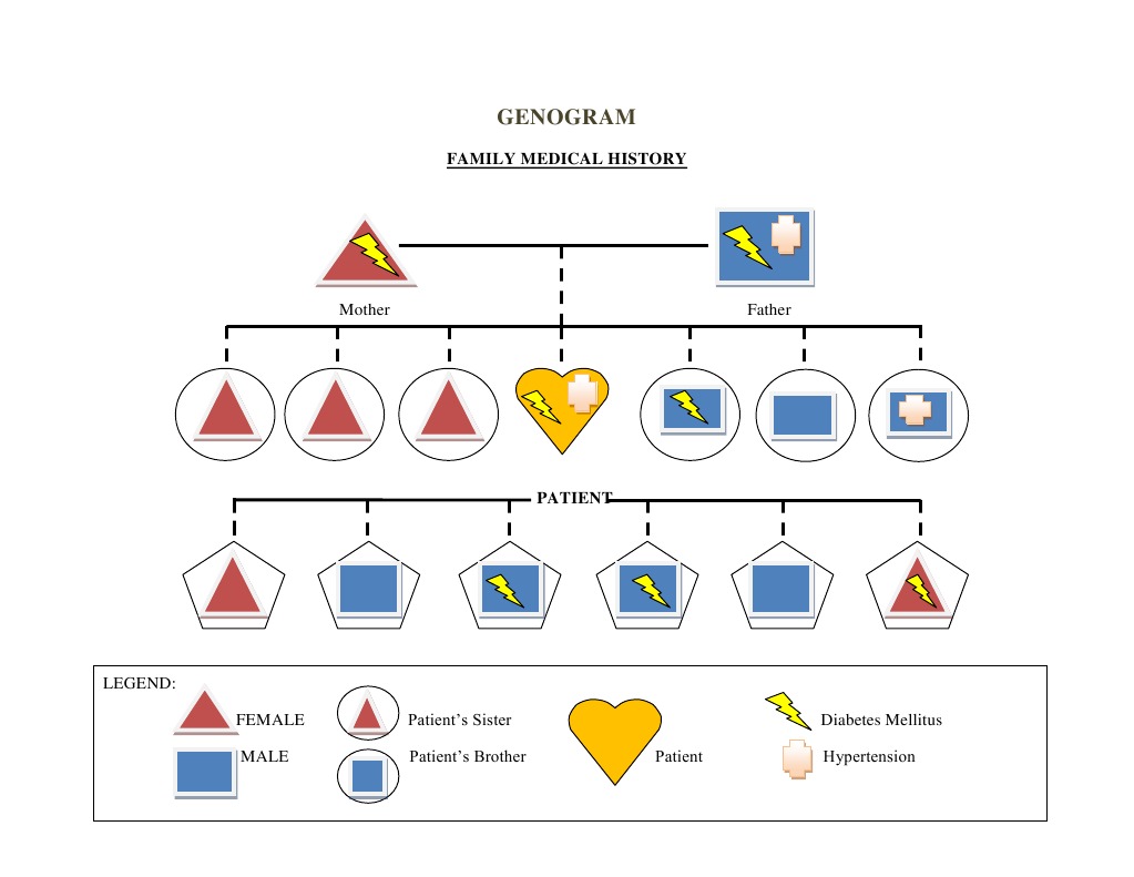 GENOGRAM | PDF | Endocrine Pancreas | Endocrine System