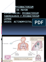 mycobacterium listo