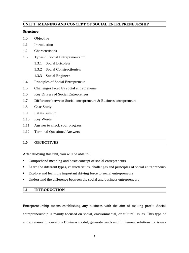 Understanding Social Entrepreneurship Concepts | PDF | Social ...