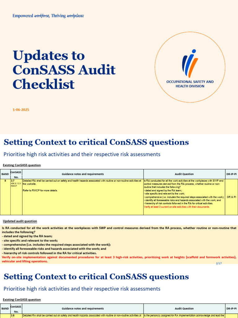 ConSASS Audit Checklist Updates 2025 | PDF | Audit | Risk