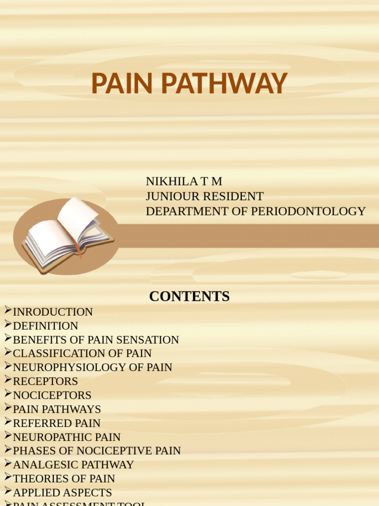 Understanding Pain Pathways and Mechanisms | PDF | Pain | Spinal Cord