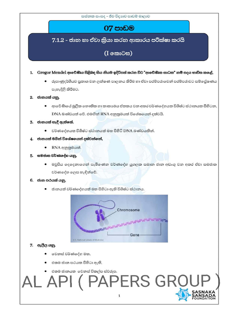 Unit 7 | PDF