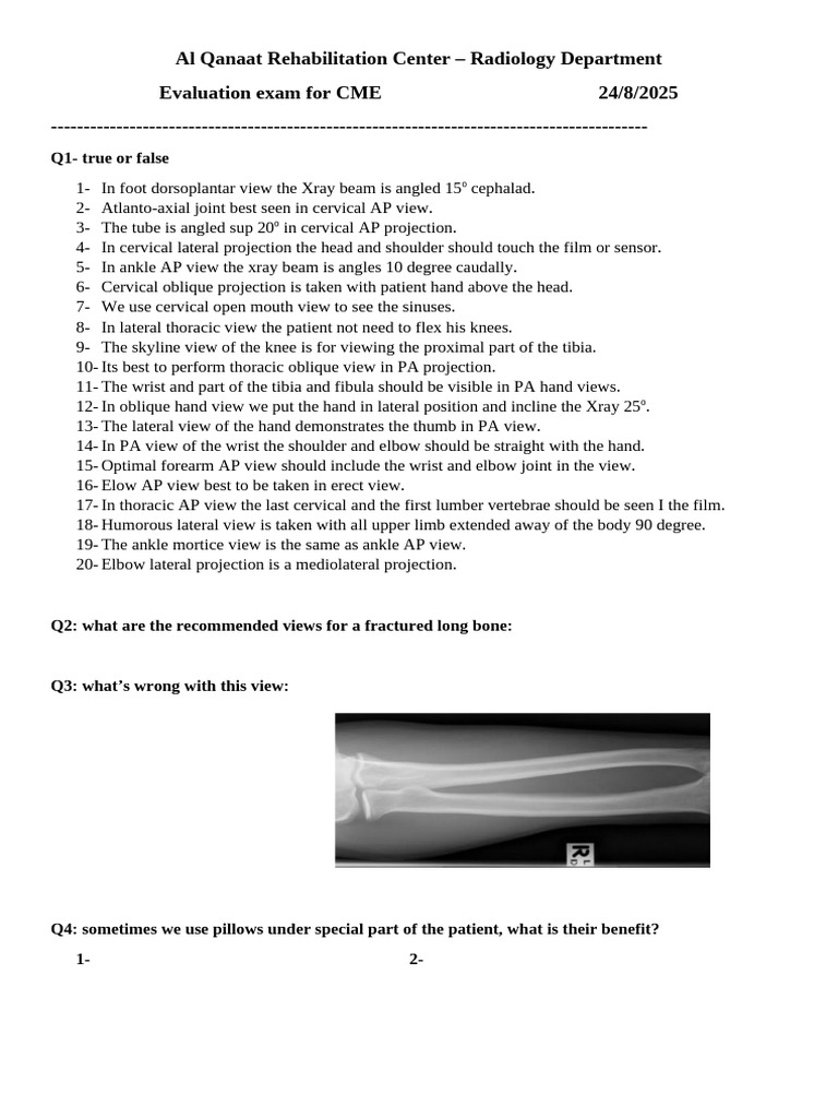 Examexam | PDF